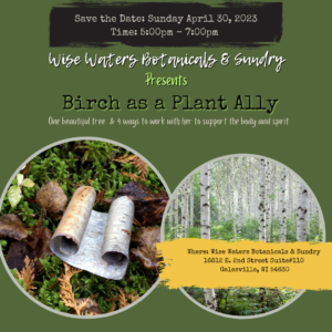 Class announcement for Birch as a Plant Ally Workshop