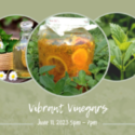 Image showing a variety of plants, and plants infusing in vinegar. It's titled Vibrant Vinegars June 11, 2023 5pm to 7pm