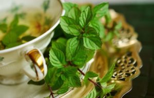 A picture of a delicate tea cup with sprigs of mint beside it